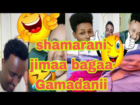 Ayyii Caraa Keessani Dhirrii Arsii Dhumatani Dhumadhaa 