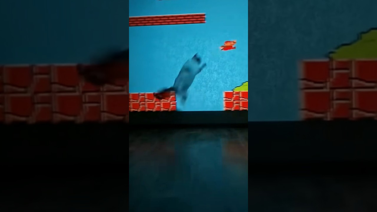 Cat Tries to Catch Video Game Character Projected on Wall