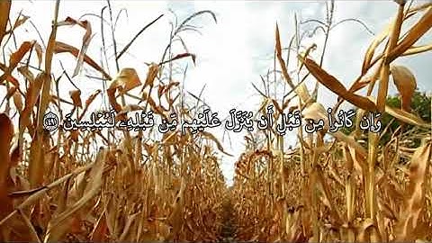 تلاوة من سورة الروم اية ٤٨-٥٠ للشيخ د. سعود الشريم