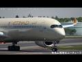 [Golden A350XWB] Etihad Airways Airbus A350-1000 A6-XWH landing @ Narita RWY34R [May 17, 2026]