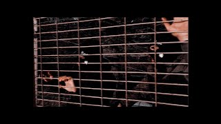 Deja - Zor Official Video Prod By. Favor1N