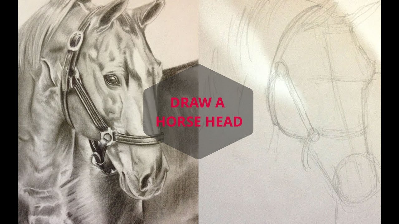 Featured image of post Drawings Of Horses Realistic - Horse drawing realistic at getdrawings | free download.