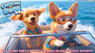 Best Dog Cartoon for Puppies to Watch, in Colors They Can See! 🐶 Anti-Anxiety & Prevent Boredom screenshot 5