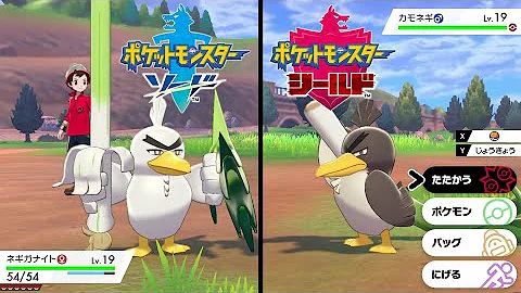 カモネギシールド