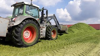 Der Mais Fällt Maishäckseln 2018 Fendt Case, Fliegl Schwaben Agrar Tv