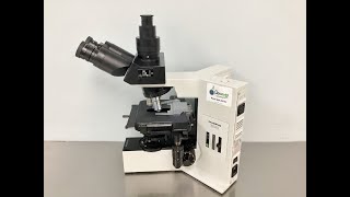 Olympus Bx40 Microscope Id 26210