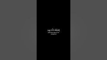 كروما شاشة سوداء قرآن كريم 🍀 علي جابر 🍀 سورة الأنفال  #تلاوة_هادئة #اكسبلور #قران_كريم