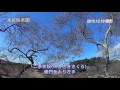 動画でお知らせ! 2015.12.19現在の偕楽園二季咲桜