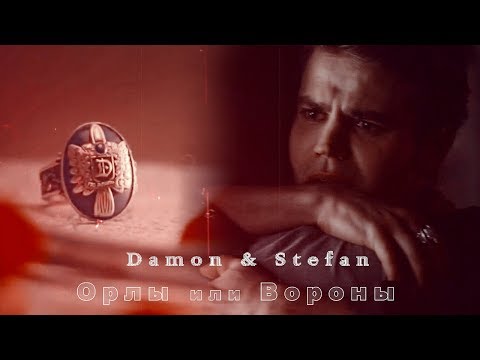 Damon & Stefan || Орлы или Вороны