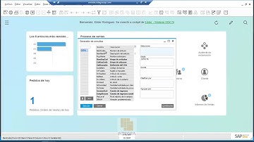 SDK Interfaz de Datos (DI) -  Ejemplo: Objetos Tipo Non-Business