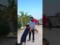 खामोशी भी बहुत कुछ कह जाती है#rambo #doggielife #love #petlove #doglife #ytshorts