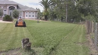 Satisfying mowing huge bahia yards in super timelapse with correct sound pitch