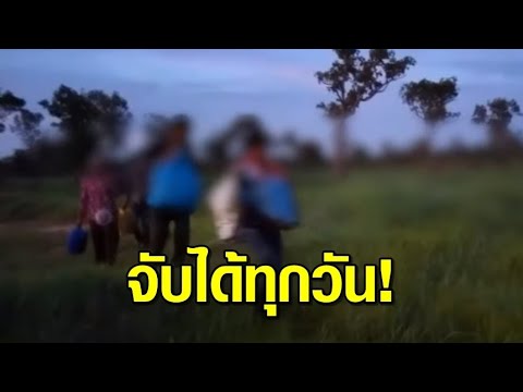 จับได้ทุกวัน! แรงงานต่างด้าวลักลอบเข้าไทย ลัดเลาะชายแดนหลายจังหวัด ชี้มีนายหน้าคนไทยติดต่อ