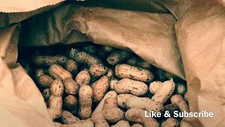 Cracking Peanuts Sound FX