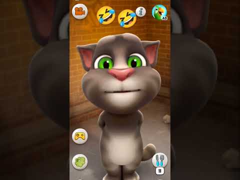 happy holi tom video
