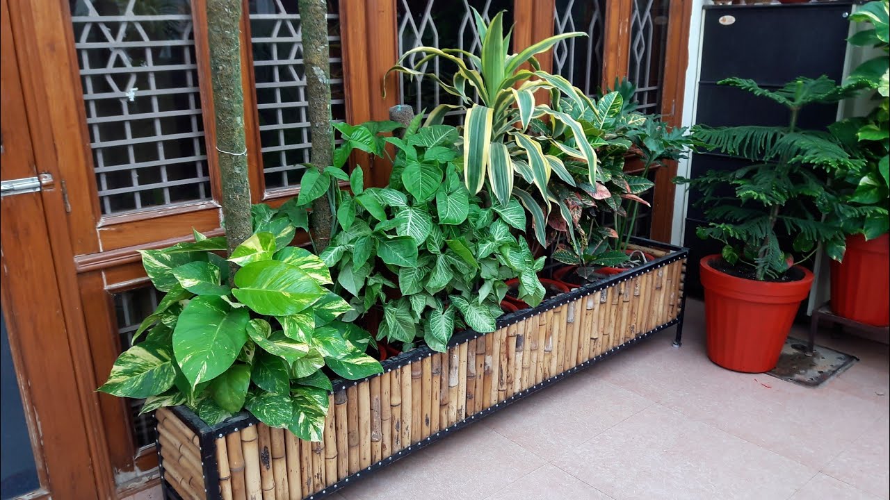 Ground Floor Garden Tour Ground Floor Garden Overview pt.2 YouTube