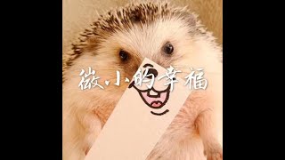 201408 微小的幸福31755