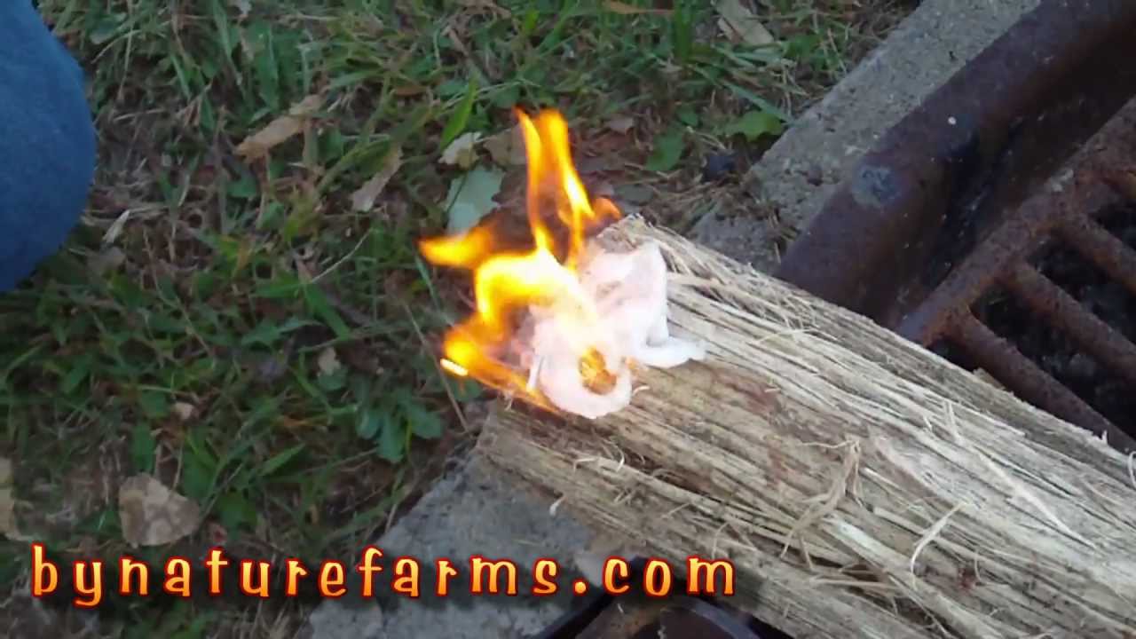 Fire Starter using a cotton ball & vaseline/petroleum jelly. YouTube