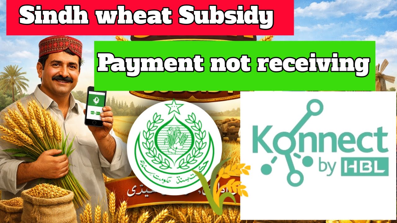 HBL Konnect | Wheat Subsidy Sindh – Complete Guide for App