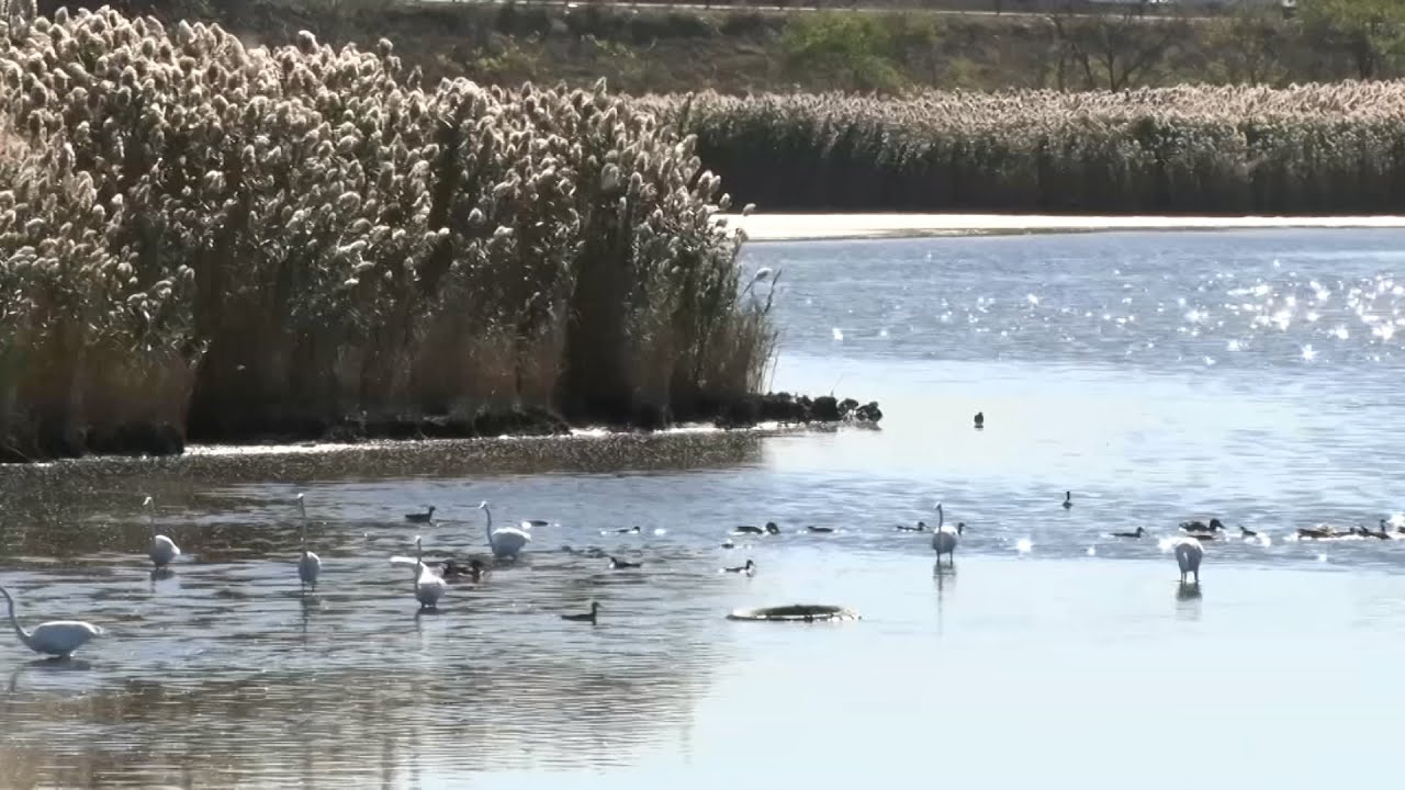 State moves to stabilize Meadowlands tax share program YouTube