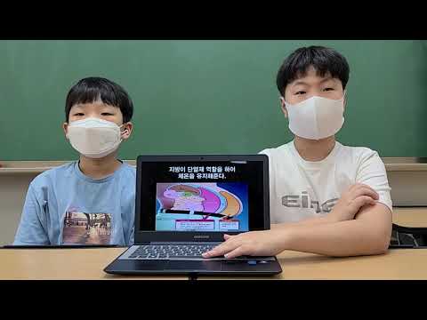 [천안불무초] 지방이 많을수록 더위를 더 안탄다