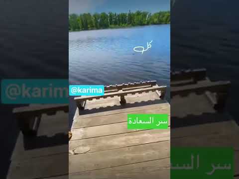 سر السعادة حسين الجسمي
