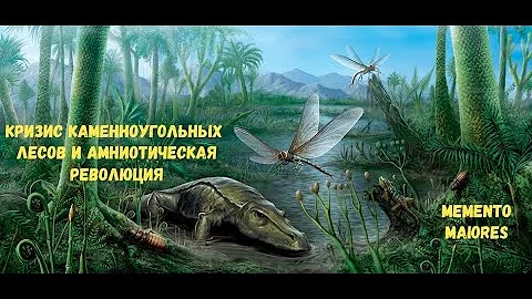 Кризис каменноугольных лесов и амниотическая революция. Амниоты. Помни о предках