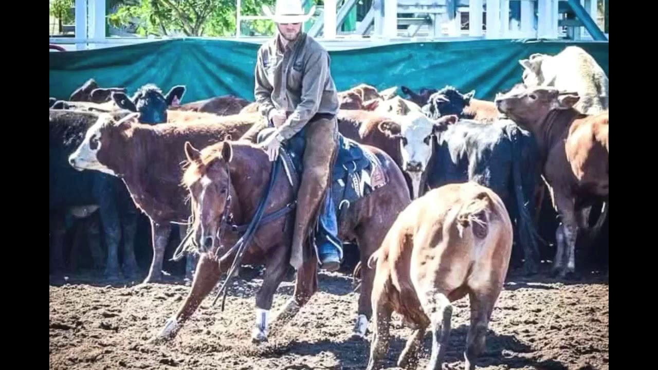Gully Raker photos and short video - YouTube