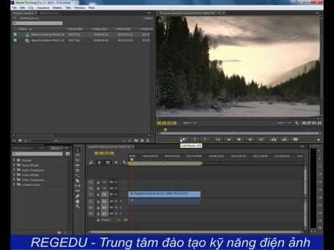 Video Cách lấy file ảnh từ video trong Adobe premiere - youtube