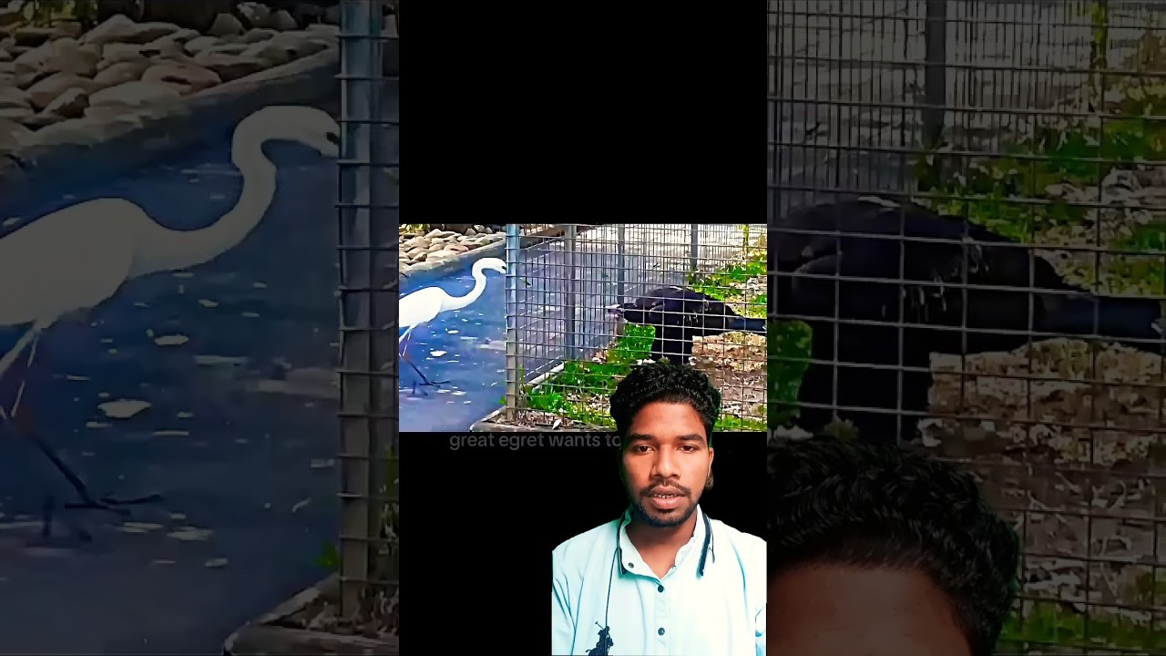 Introducing the "VitaWear SmartBand," a next-generation wearable gadget🎉 