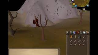 OSRS MONEYMAKING GUIDE: EASY GREEN DRAGON KILLING WITH SAFESPOT!!!