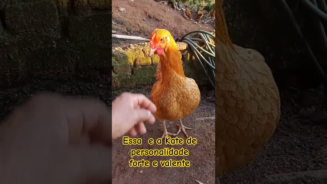 Kate valente e forte.