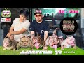 Limited JP อ.เมืองขอนแก่น (แก้ไข2) @Anajak226 #bullybreed #exotic #exoticbully #limited jp #doglove 
