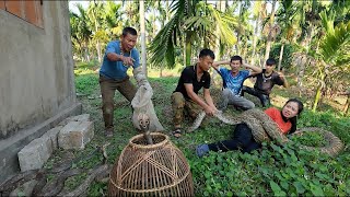 Celebrity Horrifying Moment! Giant Python Attacks Girl as Cobra Nest Is Discovered Nearby Net Worth
