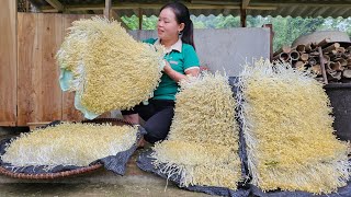 How To Grow Mung Bean Sprouts with Bamboo basket - Harvest After 5 Days Go To Market Sell | Cooking
