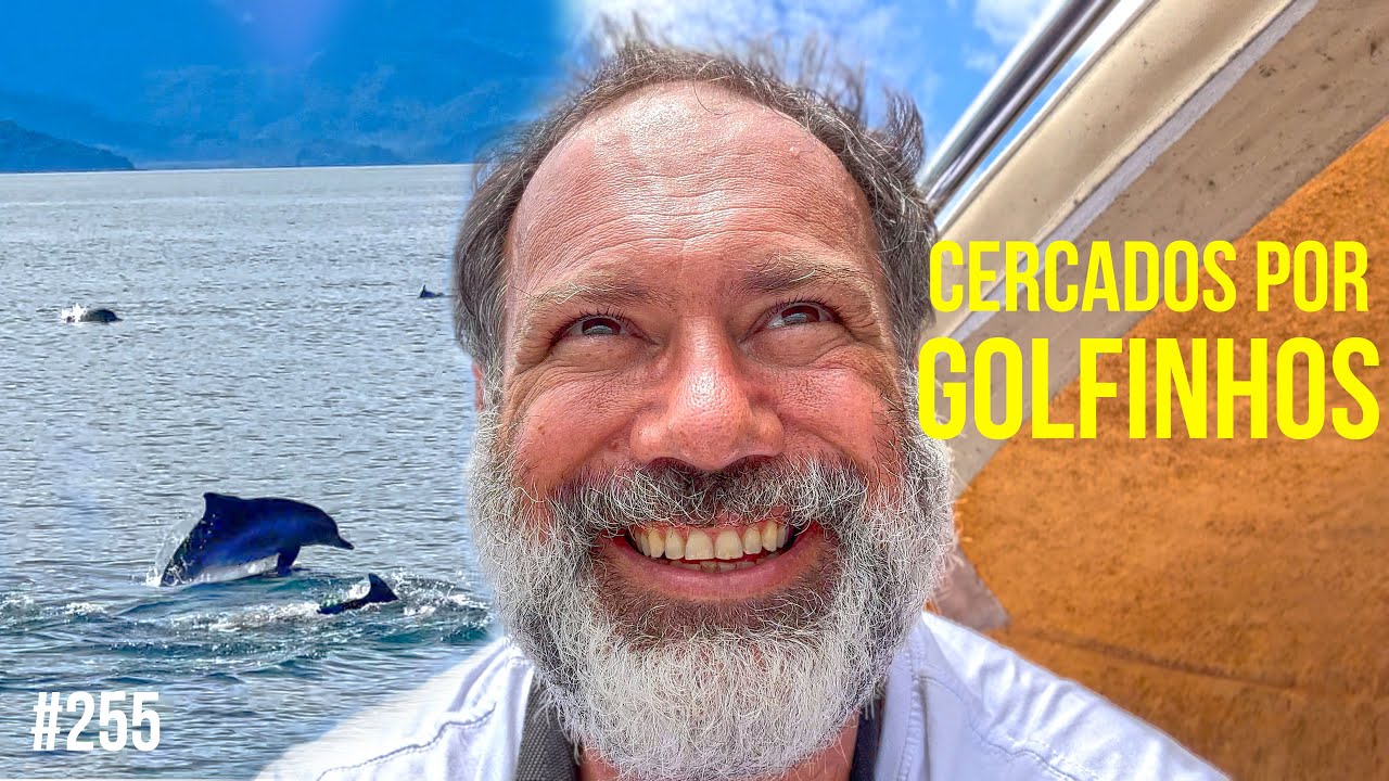 Fomos cercados por golfinhos | #SAL #255