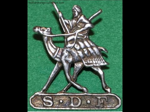 هجانة ام ريش اساس الجيش قوات دفاع السودان