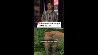 Elephant Kills 20 People In Indias East