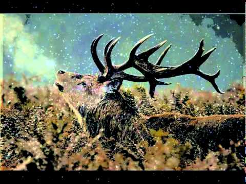 Super Flu & Andhim - Hasoweh (Original Mix)