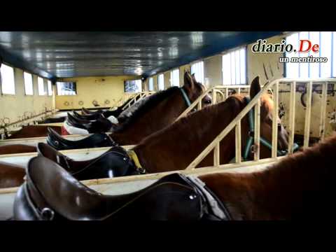 Saliendo del Horsetrip en un camión de caballos