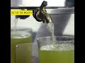 Sugarcane Machine
