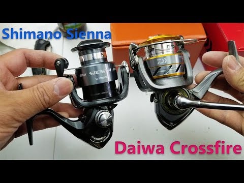 Spinning reel comparison - Shimano Sienna vs Daiwa Crossfire 