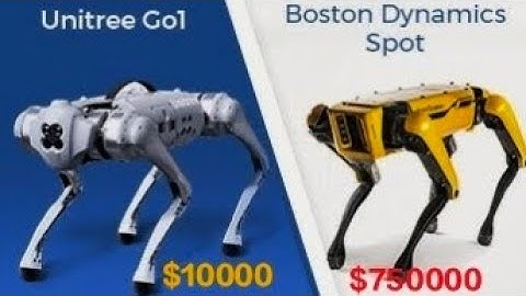 Boston Dynamics vs Unitree | China is dominating Robotics race