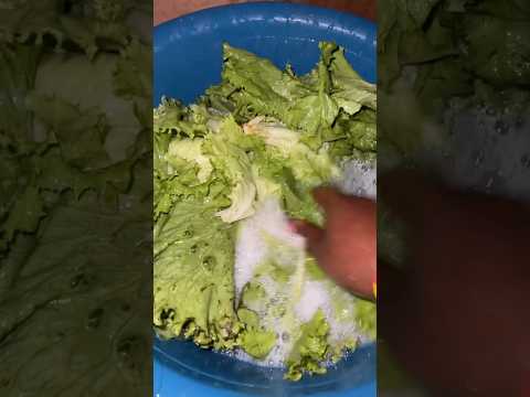 UKIAMBIWA OSHA MBOGA SASA WEWE