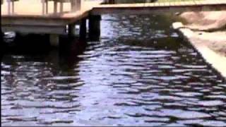 Waterfront houses in Ortega Jacksonville