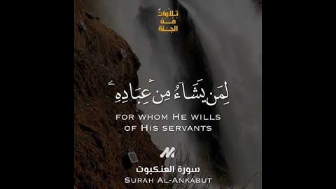 سورة العنكبوت ~the Holy Quran 🌿إسلام صبحي 🍁