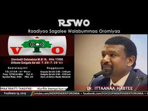 Marii Hayyuu Oromoo Dr ITTAANAA HABTEE Waliin Taasifne RSWO 