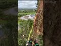 🌲 Cypress Reductions in Co. Kerry 🌲