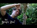 Mid Summer Bonsai Pruning, Part 3, The Bonsai Zone, Aug 2019