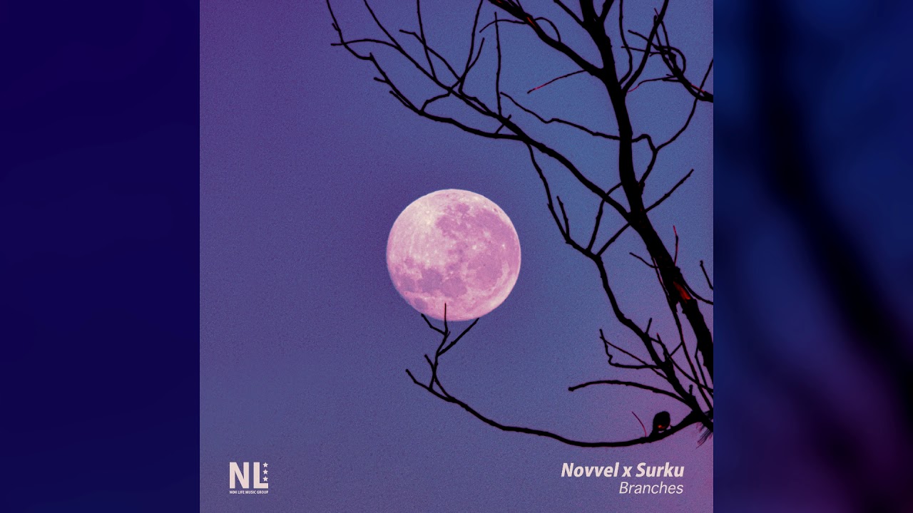 Novvel & Surku - Branches - YouTube